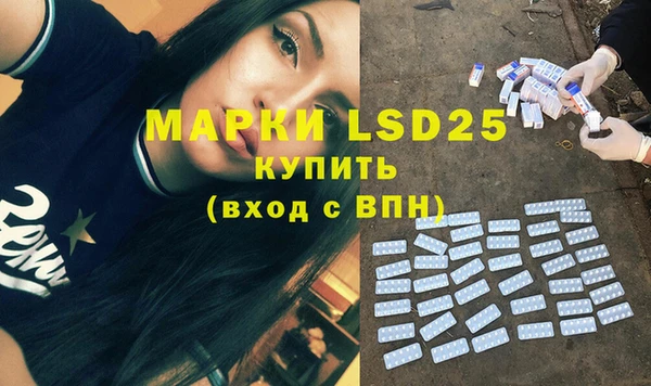 прущие грибы Балабаново