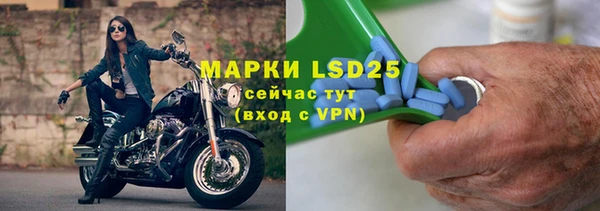прущие грибы Балабаново