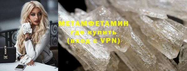 прущие грибы Балабаново