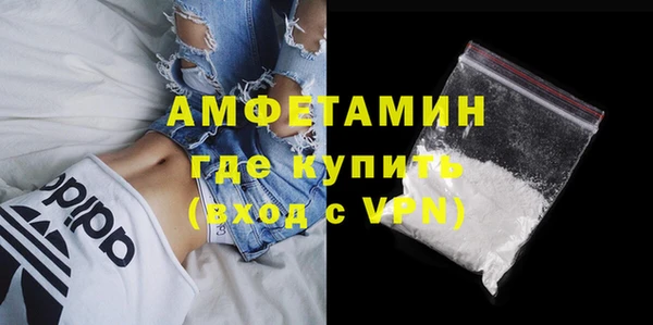 прущие грибы Балабаново