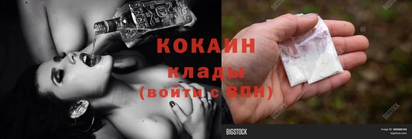 прущие грибы Балабаново