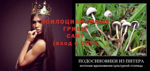 твердый Семёнов