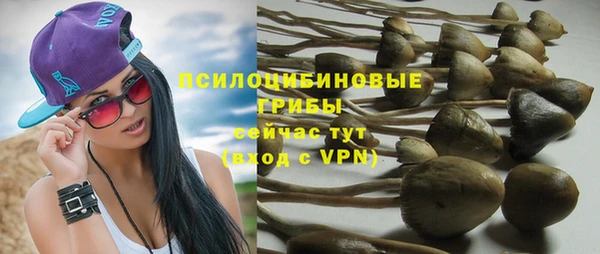 стаф Семикаракорск