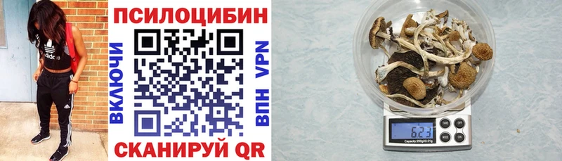 Галлюциногенные грибы Psilocybe  Любань 